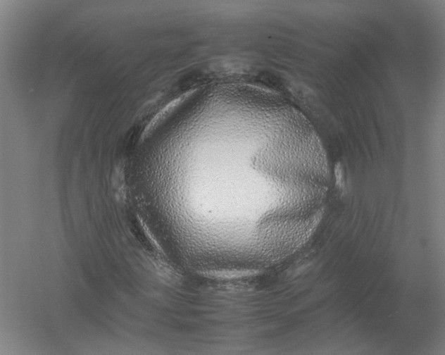 X0000054411203200508192022