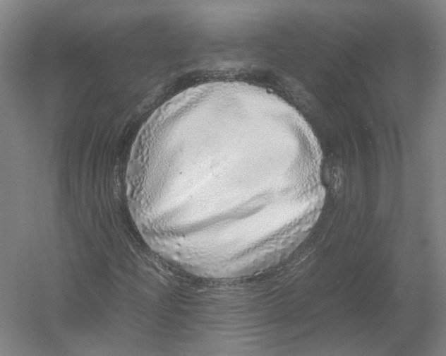 X0000054411204200508192022