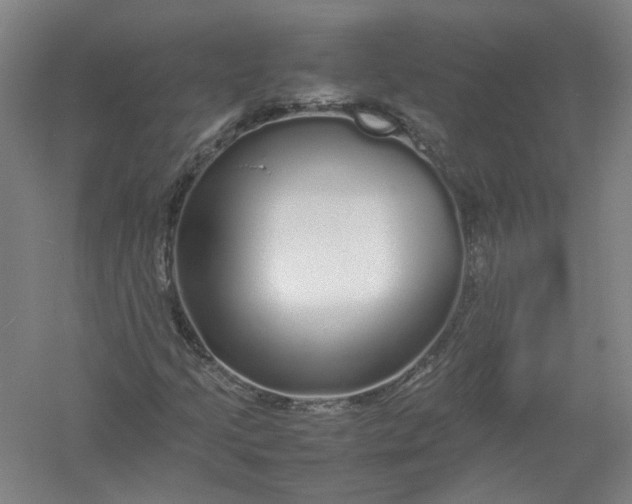 X0000054411205200508192022