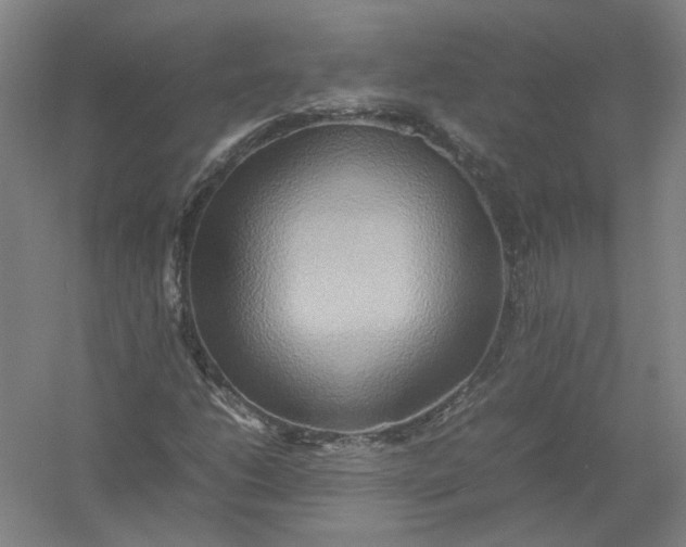 X0000054411206200508192022