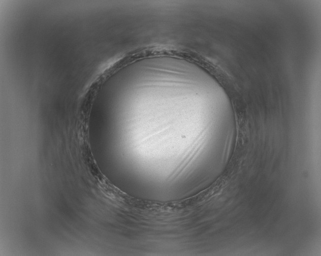 X0000054411207200508192022