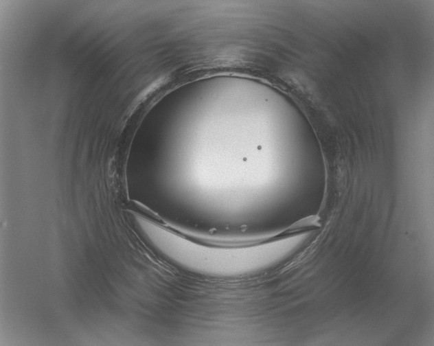 X0000054411210200508192022