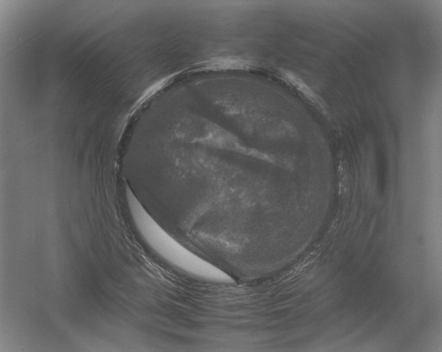 X0000054411213200508192022