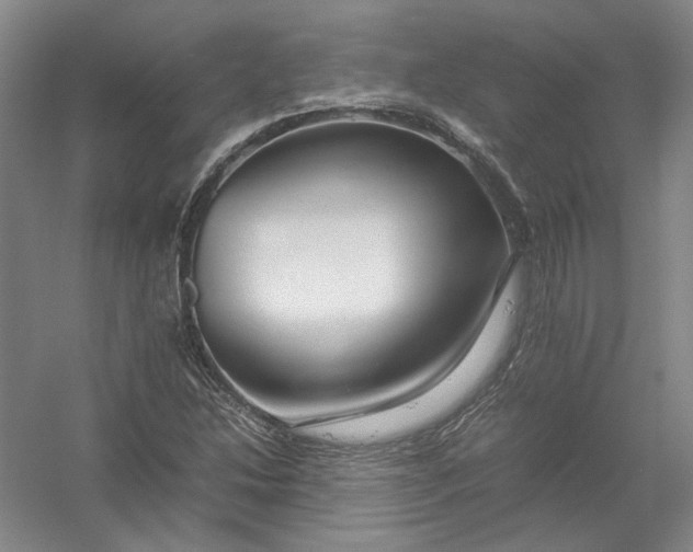 X0000054411214200508192022