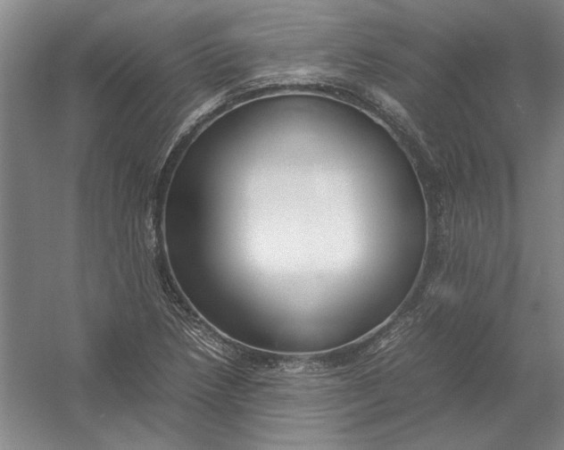 X0000054411218200508192022