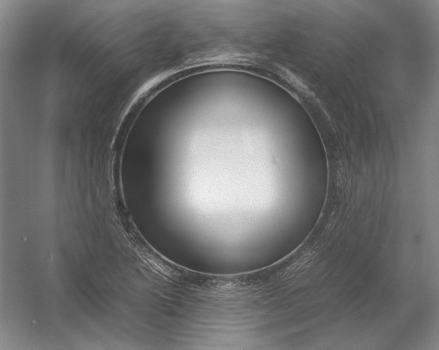 X0000054411222200508192022