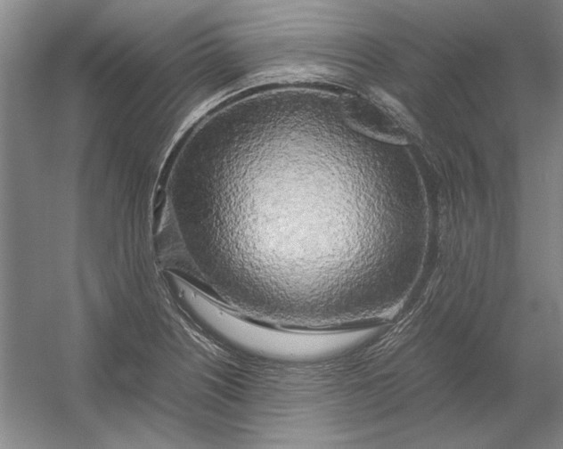 X0000054411226200508192022