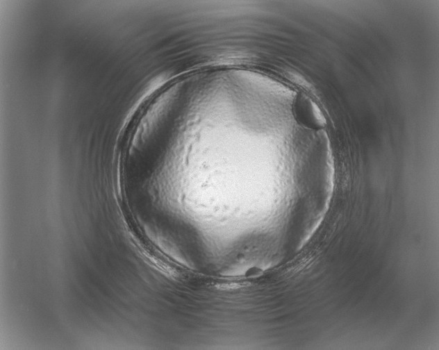 X0000054411227200508192022