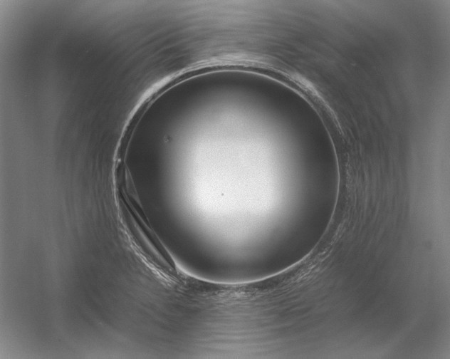 X0000054411230200508192022