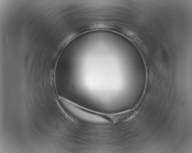 X0000054411233200508192023