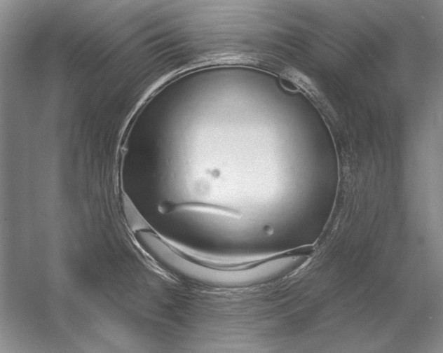 X0000054411236200508192023