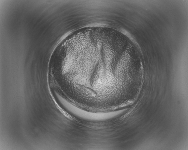 X0000054411237200508192023