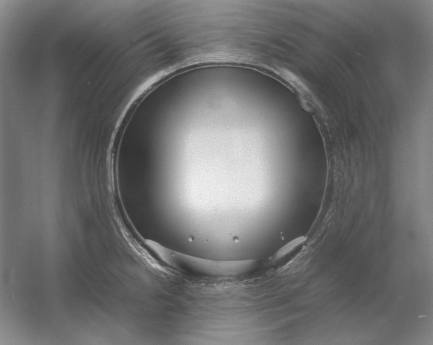 X0000054411238200508192023