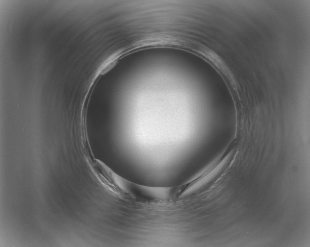 X0000054411242200508192023