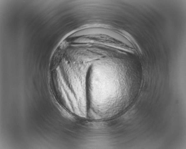 X0000054411244200508192023