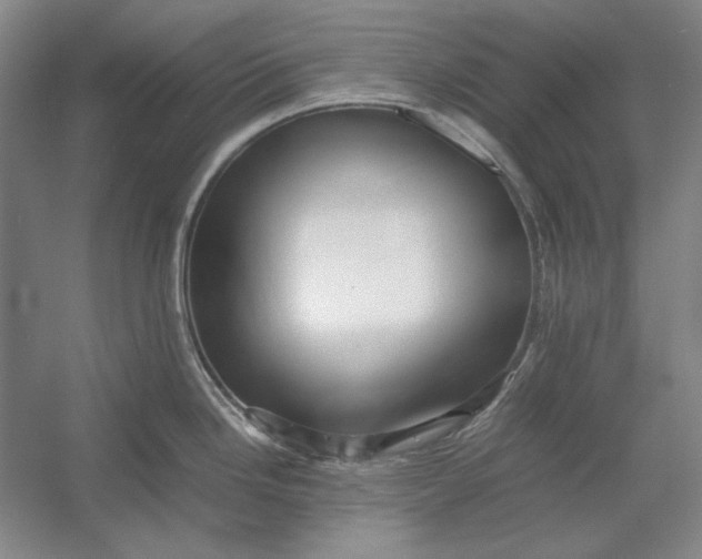 X0000054411246200508192023