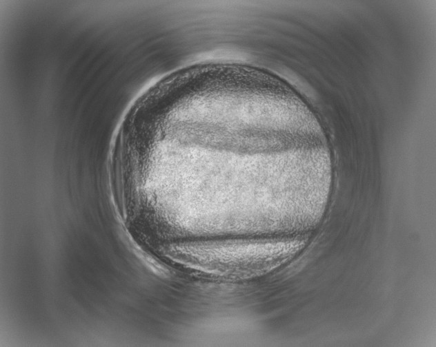 X0000054411248200508192023