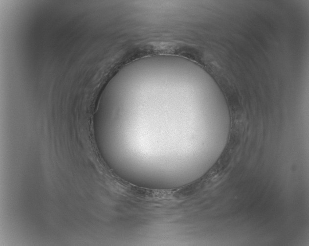 X0000054411249200508192022