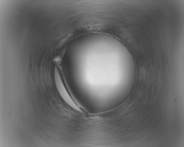 X0000054411250200508192022