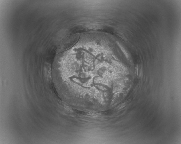 X0000054411251200508192022