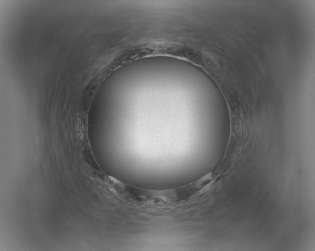X0000054411253200508192022