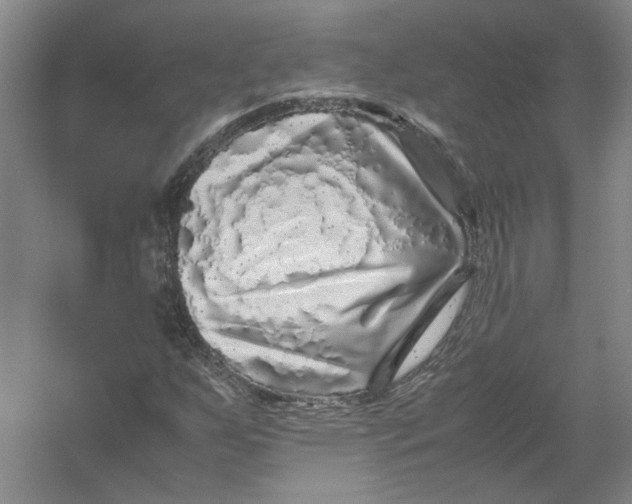 X0000054411255200508192022