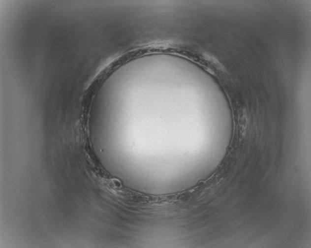 X0000054411256200508192022