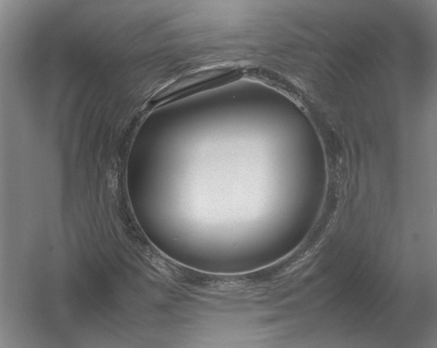 X0000054411257200508192022