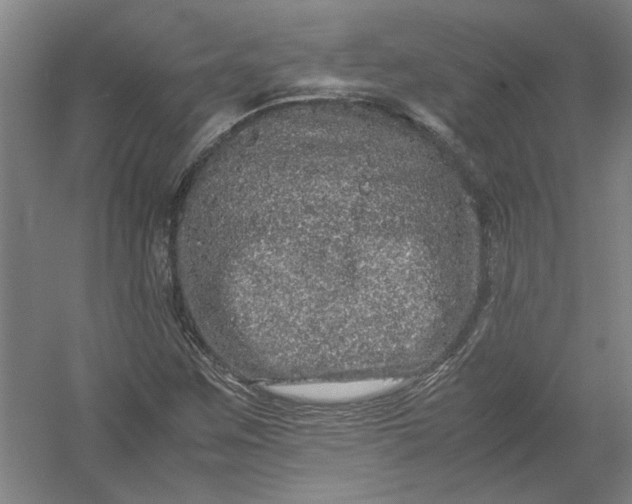 X0000054411259200508192022