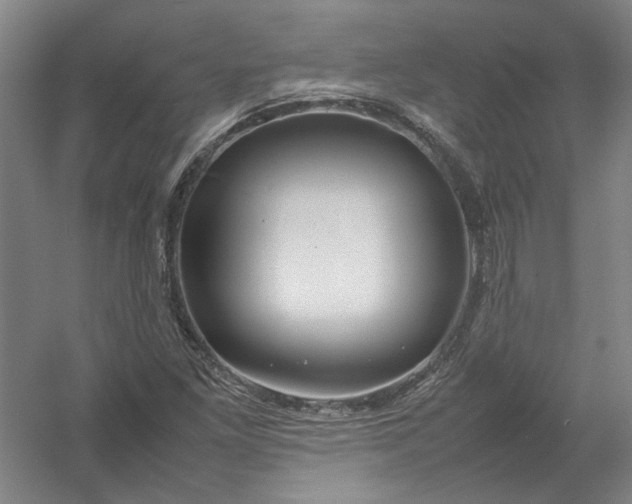X0000054411261200508192022