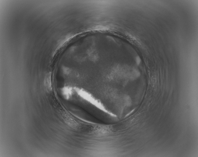 X0000054411262200508192022