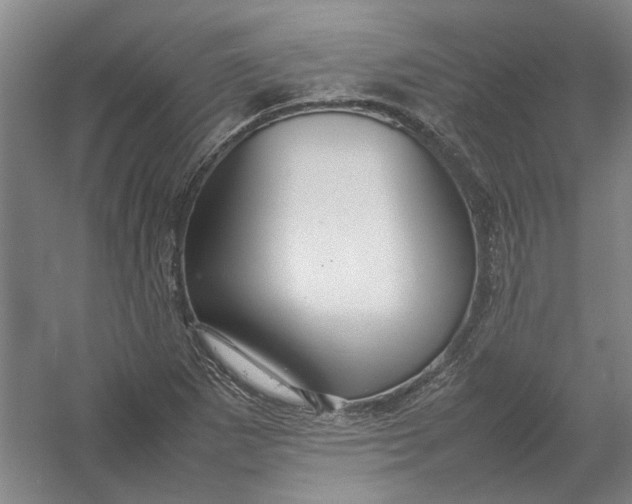 X0000054411265200508192022