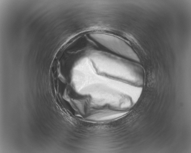 X0000054411268200508192022