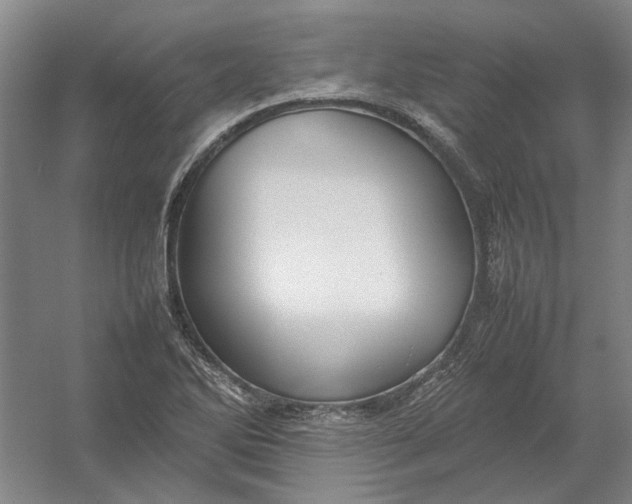 X0000054411270200508192022