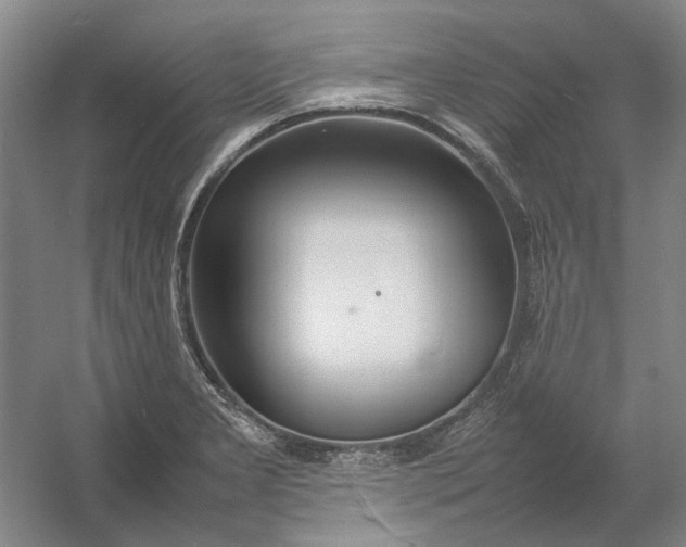 X0000054411277200508192021
