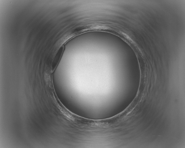 X0000054411281200508192021