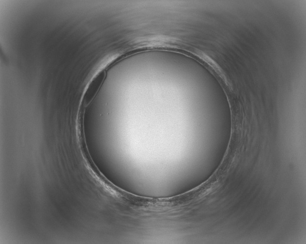X0000054411285200508192021