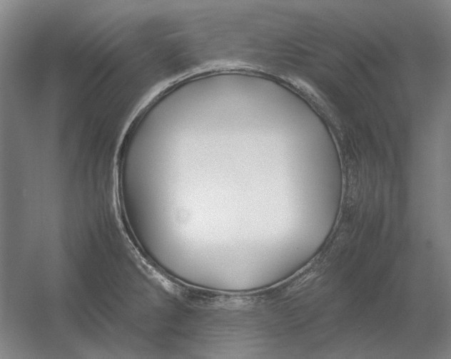 X0000054411286200508192021