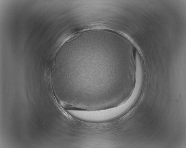 X0000054411289200508192021