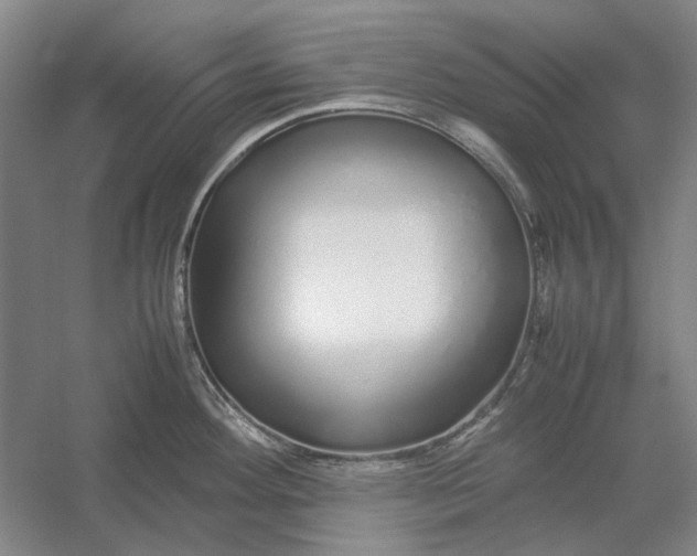 X0000054411292200508192021