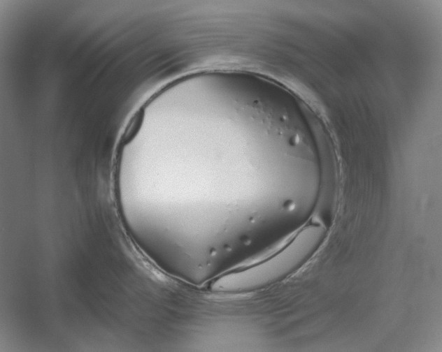 X0000054411296200508192021