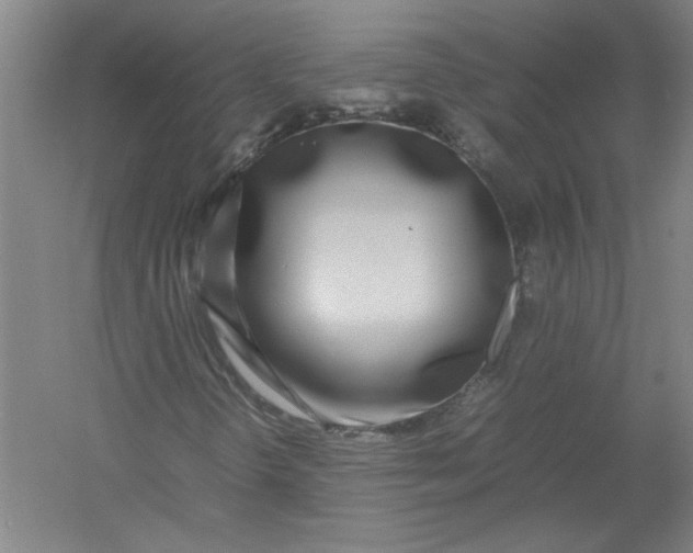 X0000054411298200508192020