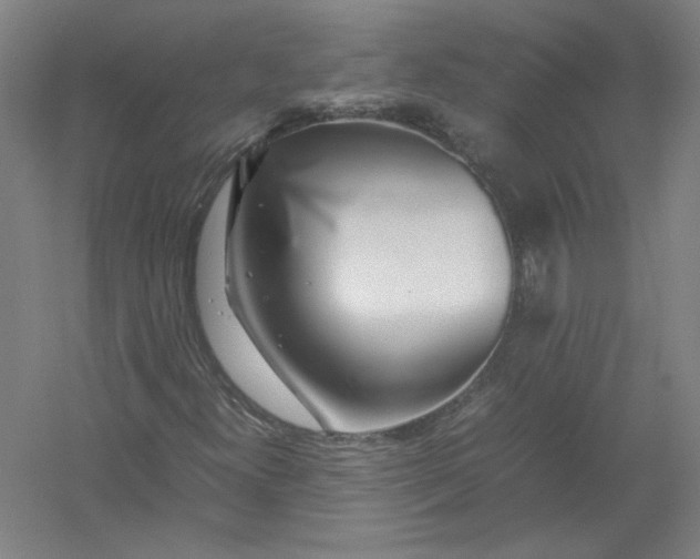 X0000054411300200508192020