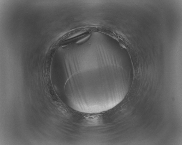 X0000054411303200508192020