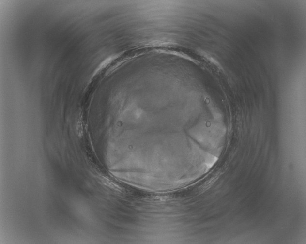 X0000054411306200508192020