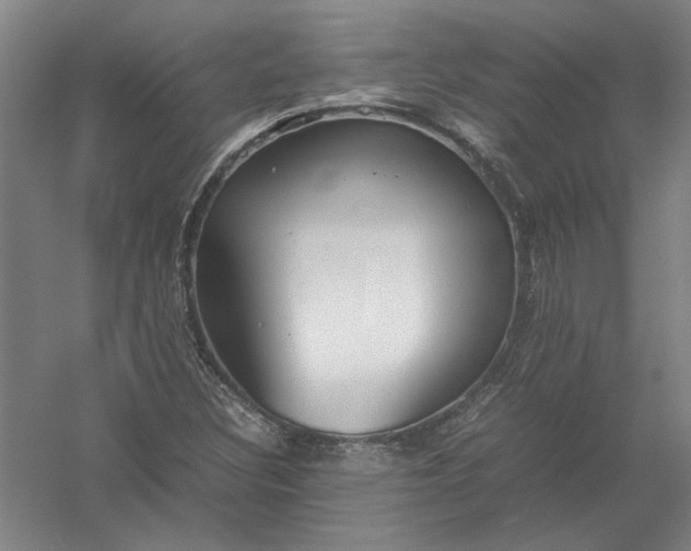 X0000054411308200508192021