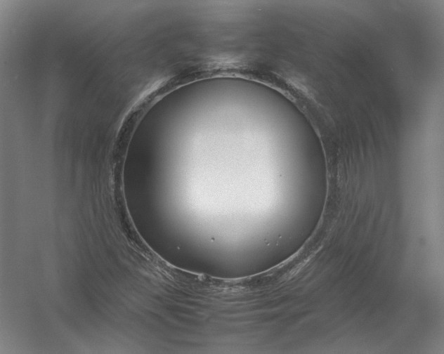 X0000054411309200508192021