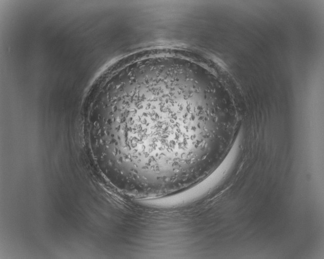 X0000054411310200508192021