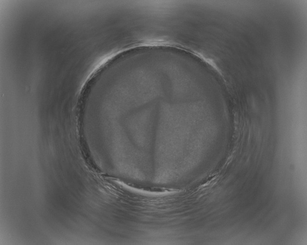 X0000054411311200508192021
