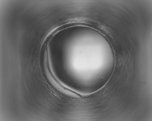 X0000054411312200508192021